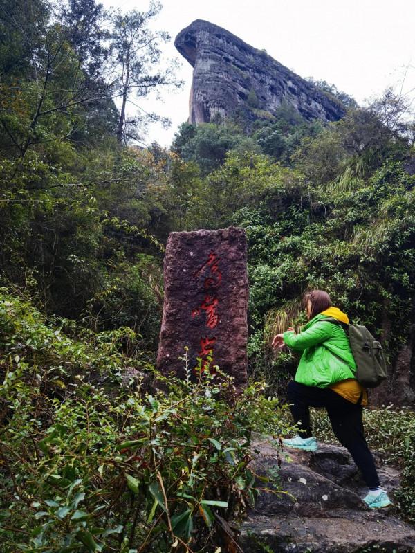 我的旅程日記：武夷山之旅D2漫遊茶骨花香漫遊道