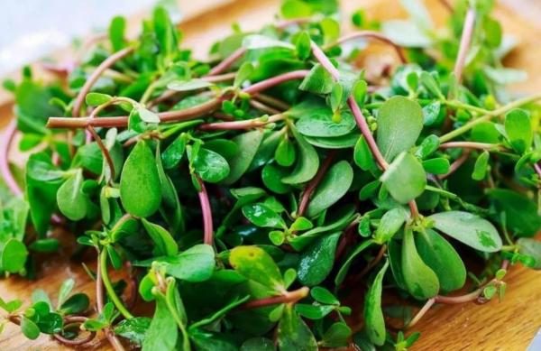 不是孕媽身體太嬌氣，而是這三種蔬菜太“毒”，胎兒的發育耗不起