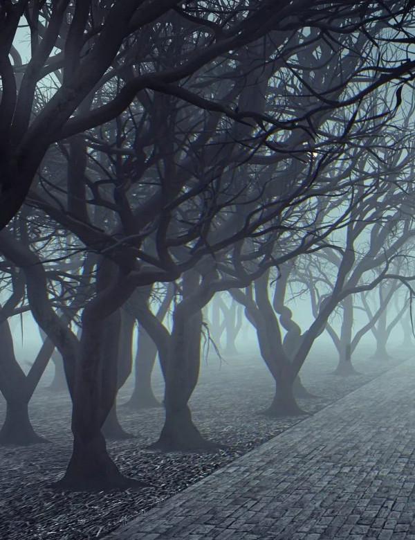 花枝的故事，美麗的悲劇：她連模糊的影像都沒留一張