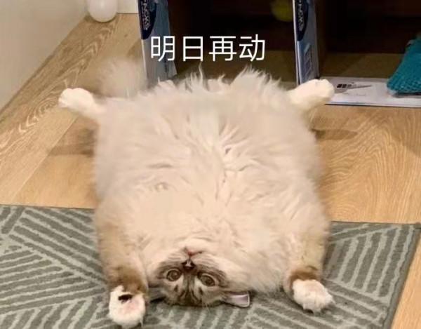 曾經被你嫌棄得一無是處，其實比瑜伽、“帕梅拉”等運動更有用