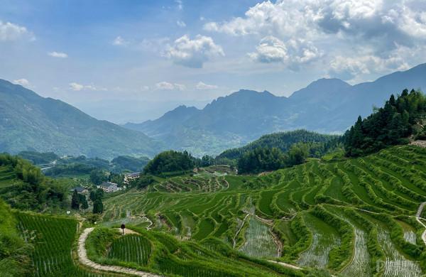 激動壞了！第一次開瑪莎拉蒂長途旅行，居然是這樣的感覺...