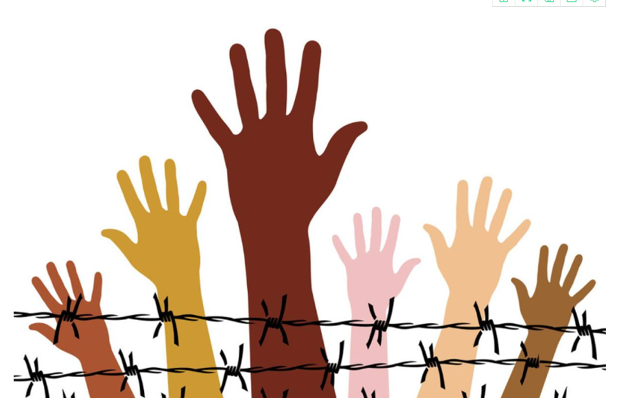 研究證實:吃肉的人更加聰明,長期吃素損害智力 研究證實:吃肉的人更加聰明,長期吃素損害智力