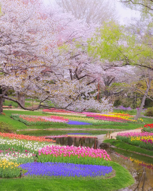 花花世界，美若仙境