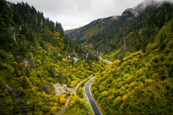 走完這條路，我和陌生人成為了親兄弟