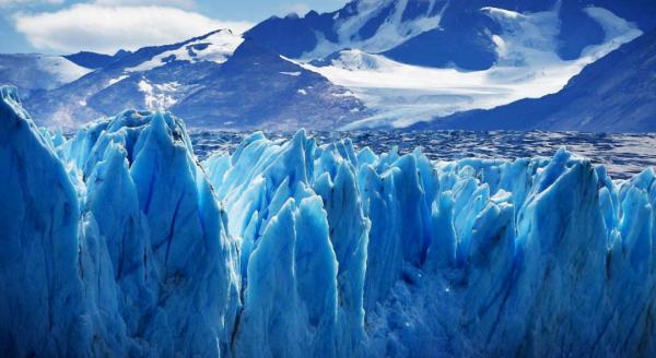 地球上的森林面積增加1倍後會發生什麼？人類將難以承受後果