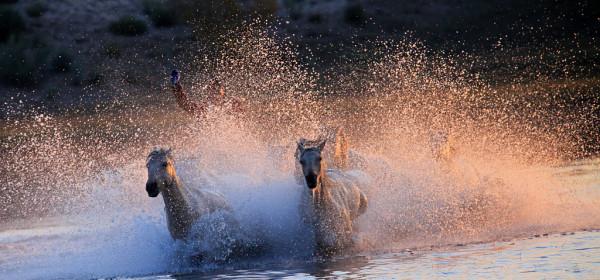 年度鉅獻：2021氫能上市公司人氣排行榜