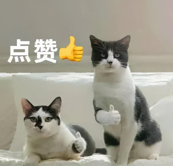 家庭主婦被撞就可以不賠誤工費了嗎？