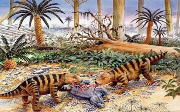 三億年前的地球是什麼樣子? 三億年前的地球是什麼樣子?