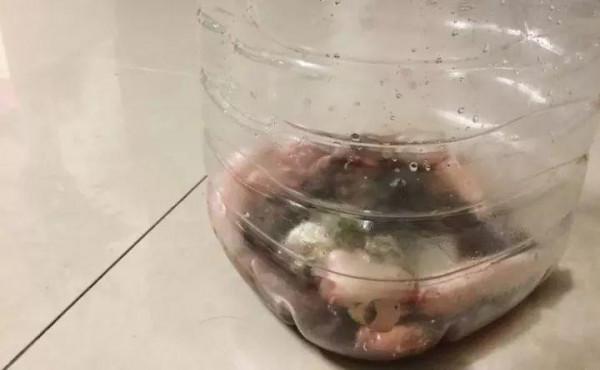 淘米水加點料,沒有異味,肥效能翻10倍,養啥花都旺 淘米水加點料,沒有異味,肥效能翻10倍,養啥花都旺