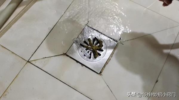 今天才知道,廢舊的鋼絲球是好東西,特“值錢”,學到就是賺到 今天才知道,廢舊的鋼絲球是好東西,特“值錢”,學到就是賺到