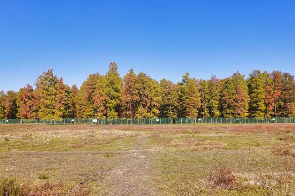 踏著深秋的落葉,去四明山來場自駕遊 踏著深秋的落葉,去四明山來場自駕遊