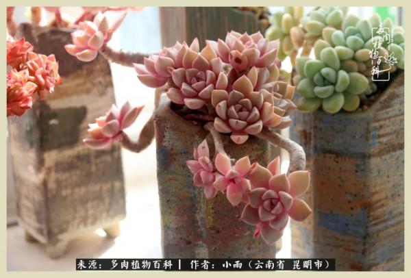 用一份熱愛，溫暖一段時光