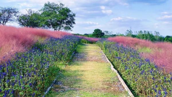 1年有150天住酒店，44次旅行，47次飛行！這江南女子怎麼做到的？