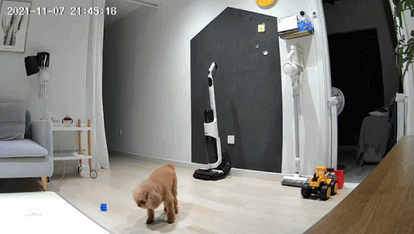 歐瑞博巨目2K智慧攝像機S1:安防、寶寶、寵物監控測試 歐瑞博巨目2K智慧攝像機S1:安防、寶寶、寵物監控測試