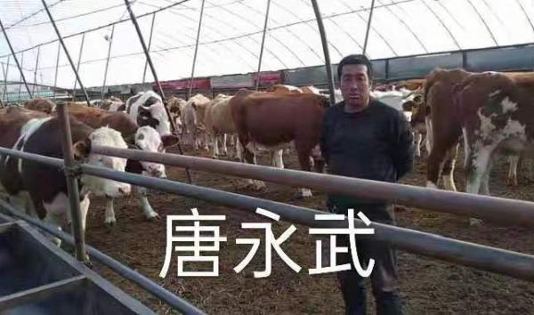 “鄉村振興，萬戶建立”——“農創杯”肉牛養殖科技示範戶已經產生啦！