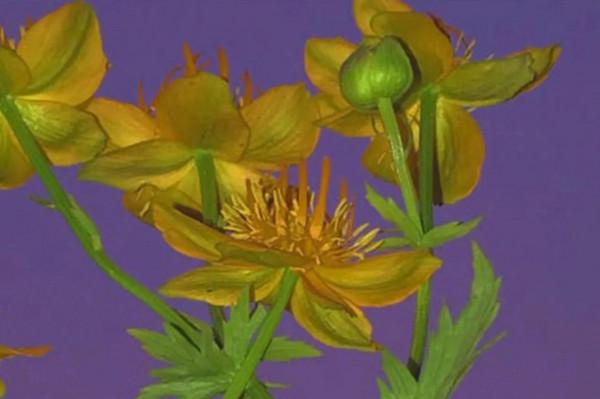 征服欲，太可怕