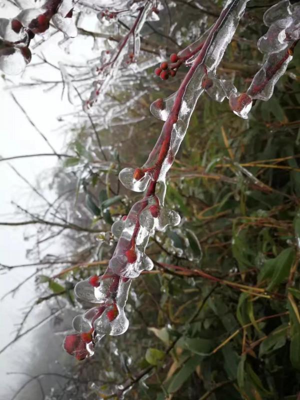 白臘素裹真神山——（二）穿金戴銀徒步線（羅平）