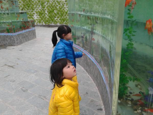 五彩田園，美麗的田園