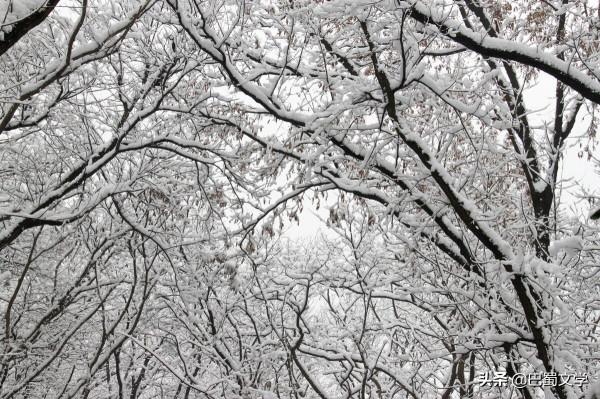 散文:美麗的誤會 散文:美麗的誤會