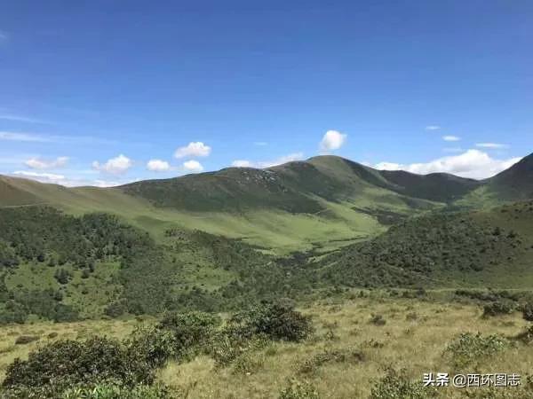 大理市、祥雲縣、賓川縣、彌渡縣等12市縣海拔最高點和最低點