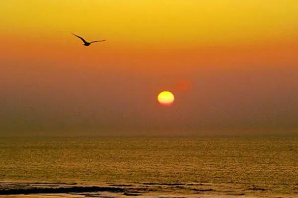 孤獨，是一種境界