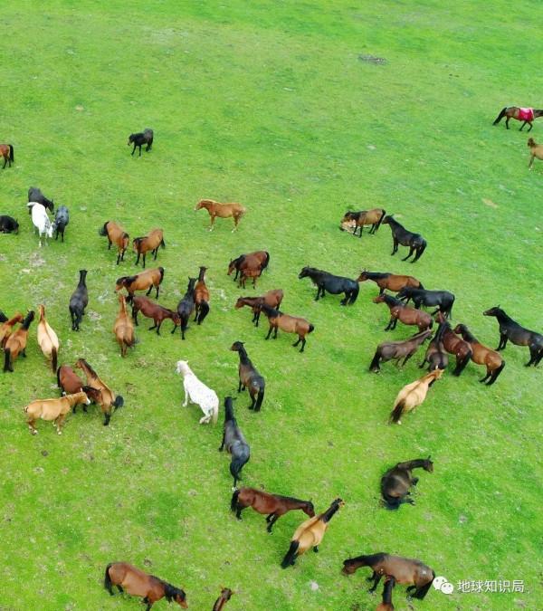 甘肅的“甘”究竟是哪裡？