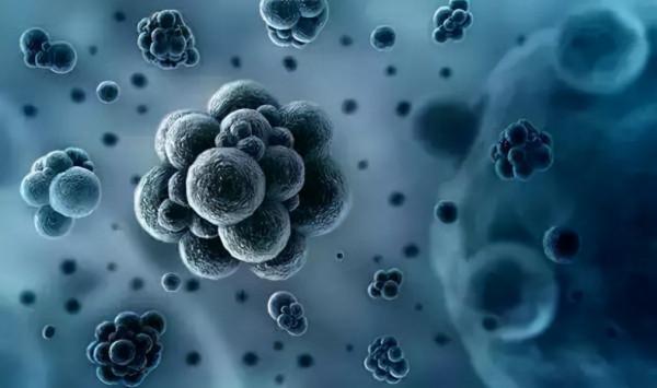 “撐”出來的6種病,餓一餓就好了?那到底吃多少有益健康? “撐”出來的6種病,餓一餓就好了?那到底吃多少有益健康?