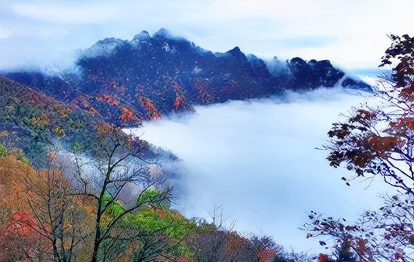 湖北一林區,一年四季天氣氣溫適中,遊客來了都捨不得離開 湖北一林區,一年四季天氣氣溫適中,遊客來了都捨不得離開