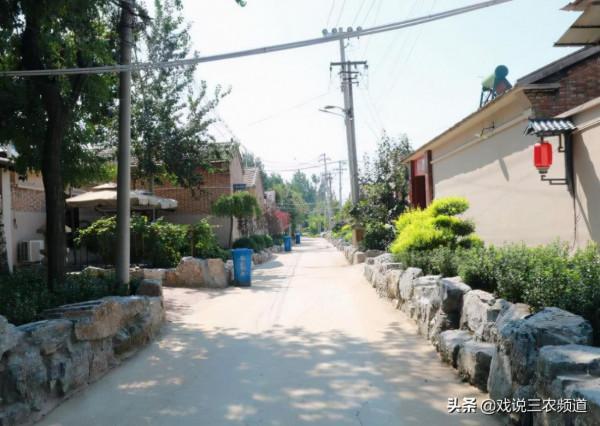 進城買房VS農村自建房，哪個更好？10年後，哪種選擇才是正確的？