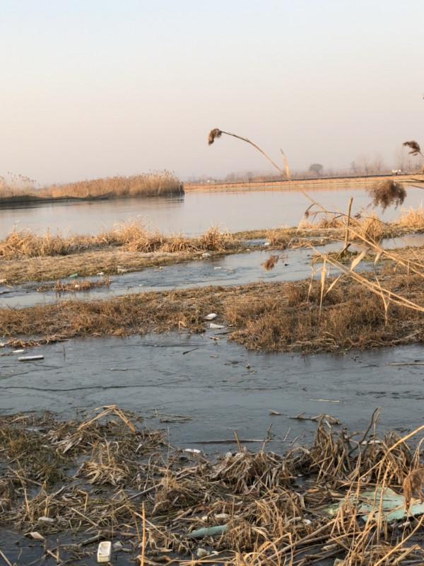 冰封天凍又何妨，漁者之樂有鯽相伴