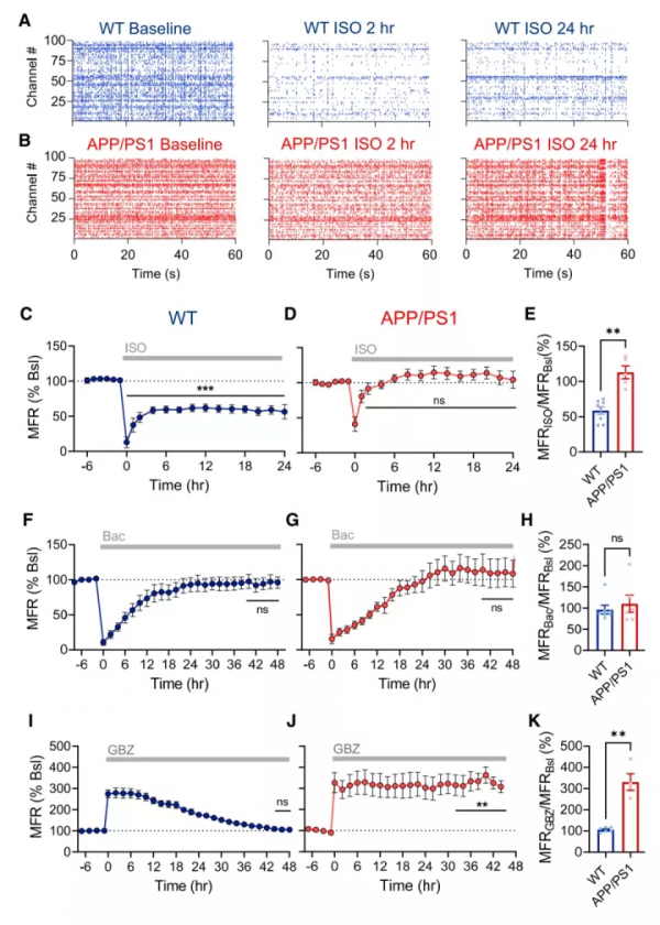 Cell Rep：阿爾茨海默病早期在睡眠時可能存在神經環路功能失調