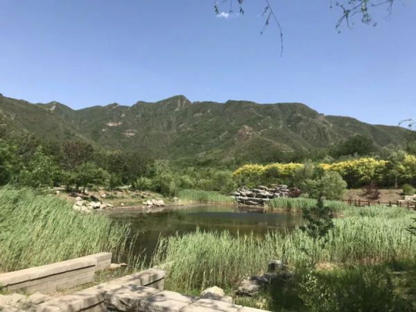 這是北京順義唯一一座山，山腳下租個農村院子每年租金要3萬