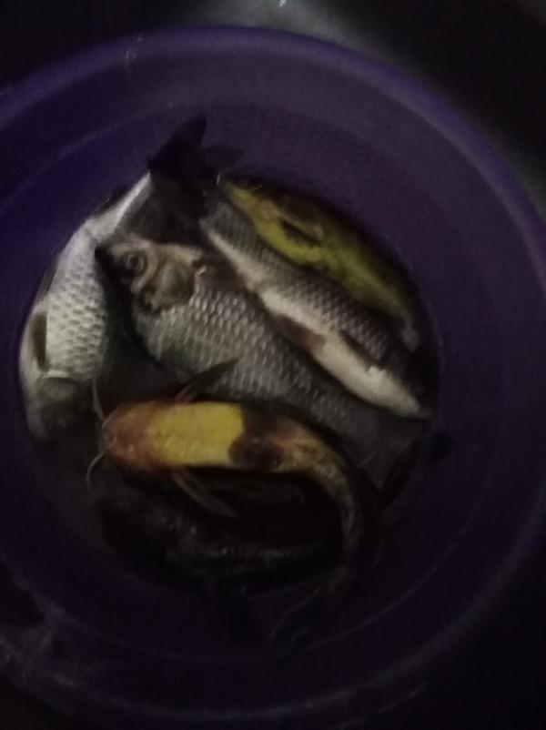 「美食」抓住領導的胃，讓領導催著你釣魚，豈不美哉