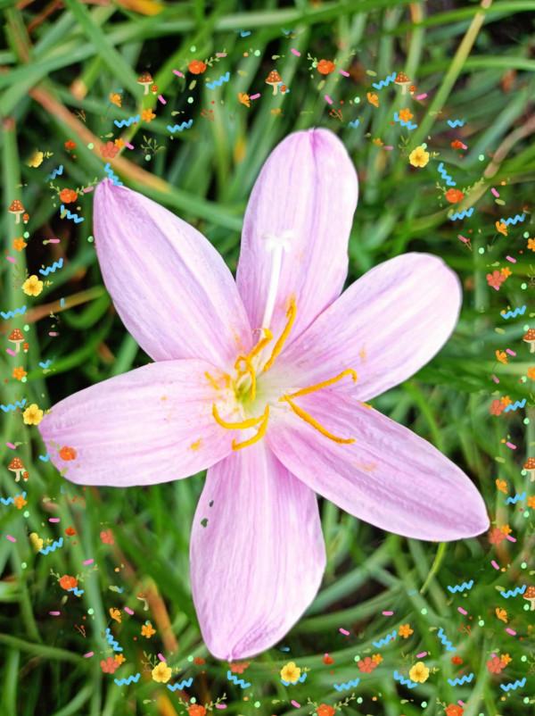 只要我們沒放棄，夢想雖然會遲到，但不會缺席