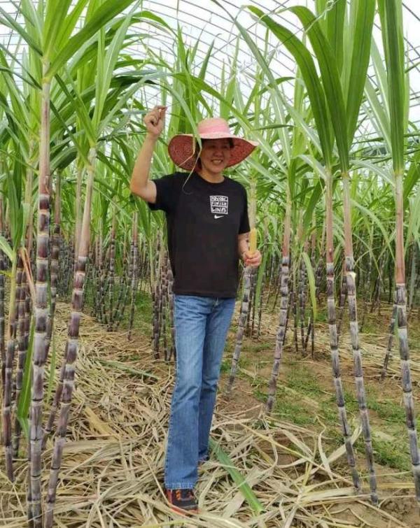 郎平卸任後首度亮相，“鐵榔頭”呼籲骨骼健康，“年輕人少打遊戲多戶外運動”