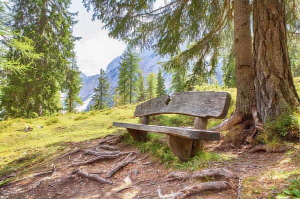 烈士米太后人找到了!老家侄子:終於知道二叔長眠何處了 烈士米太后人找到了!老家侄子:終於知道二叔長眠何處了