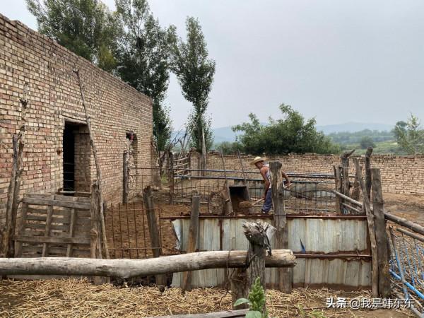 山西中部山村，人口不到百人，留守老人勤勞樂觀—汾陽市馬家社村