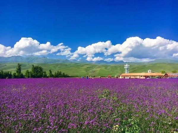 新疆那拉提草原風光 新疆那拉提草原風光