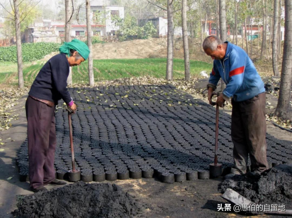 20年前，農村的冬天是這樣的，70後和80後們百看不厭