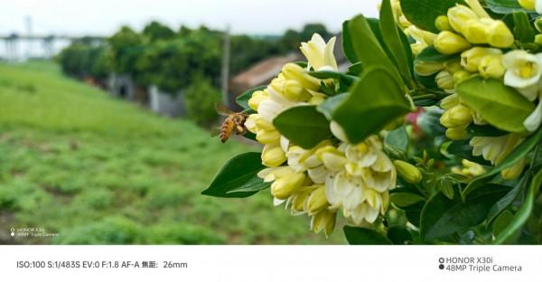 榮耀X30i深度評測：再次出發！目前最輕薄的6.7英寸手機