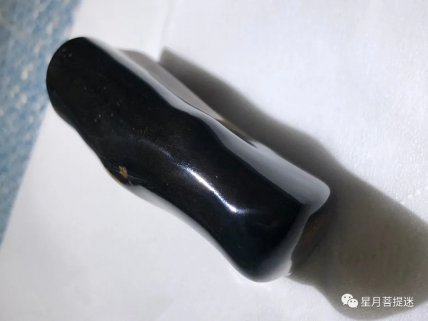 海中黃金木海柳中血柳區分