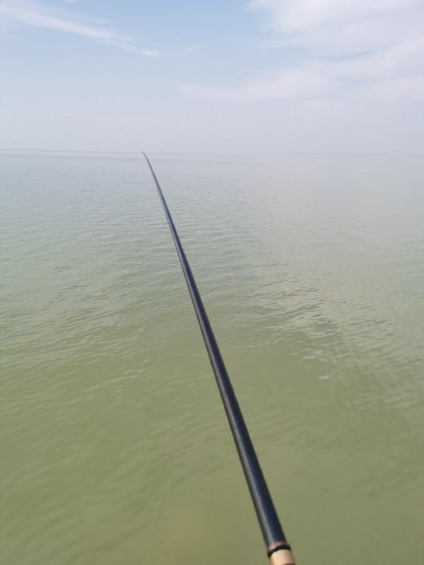 回顧近期垂釣經歷,總結經驗以利再戰 回顧近期垂釣經歷,總結經驗以利再戰