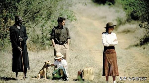 當年擊敗《英雄》,拿下奧斯卡最佳外語片的是這部肯亞拍的電影 當年擊敗《英雄》,拿下奧斯卡最佳外語片的是這部肯亞拍的電影