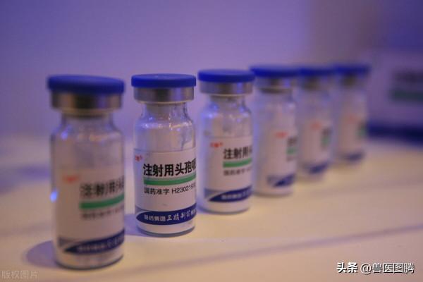 養豬常用的“頭孢”,五個“首選”、兩個“必須”,看看你知道嗎 養豬常用的“頭孢”,五個“首選”、兩個“必須”,看看你知道嗎