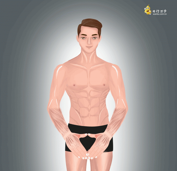 幾個手部及腕部的鍛鍊動作，幫您提高並保持肌肉力量，來試試吧