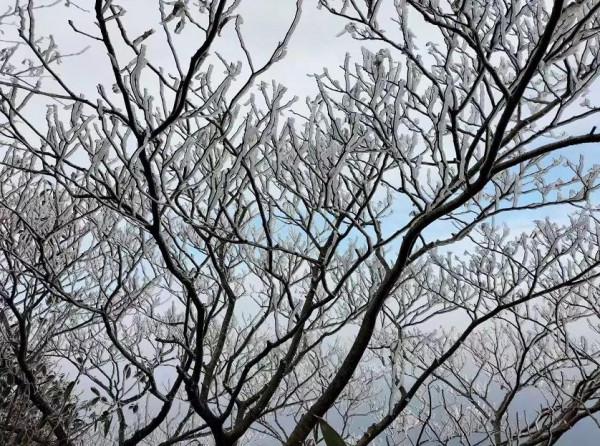 她來啦！東獅山絕美霧凇來襲