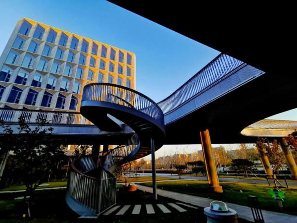 好風景就在家門口！石景山眾多高顏值公園連獲國際大獎