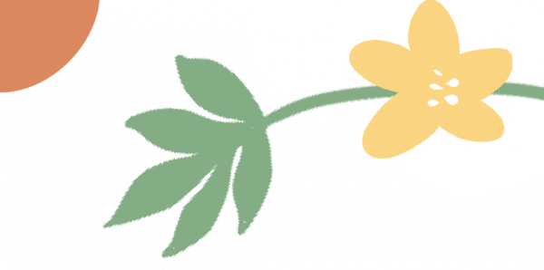 堅蛋說 | 手臂塑形看這裡!這套方案適用於所有手臂健康的小夥伴 堅蛋說 | 手臂塑形看這裡!這套方案適用於所有手臂健康的小夥伴