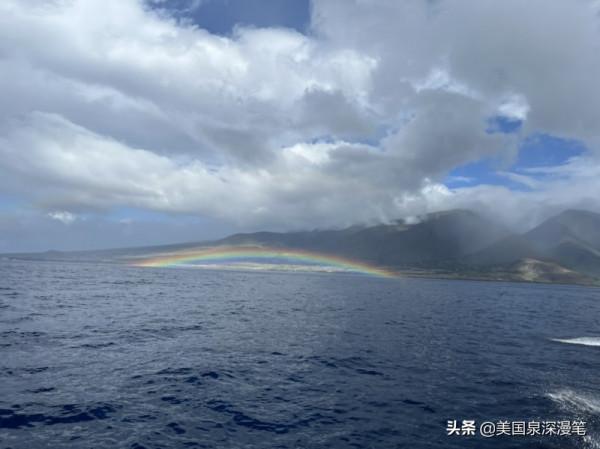 乘風破浪觀賞巨鯨 海底探險博覽魚群