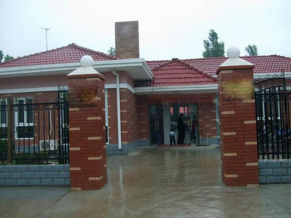 農村沒人要的平房，6萬塊錢買下來，花2萬裝修，養花正好